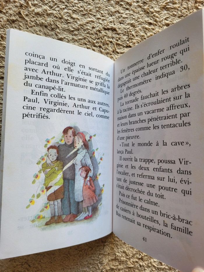 Livre enfant Basile et la scourloutoune de Véronique M. Le Normand Bibliothèque mini-rose - photo numéro 8