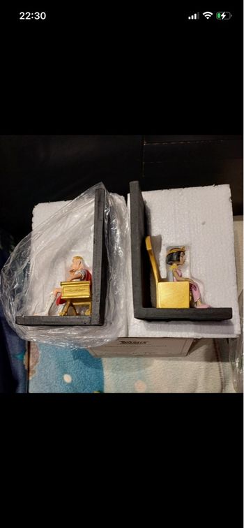 Serre livres BD Asterix