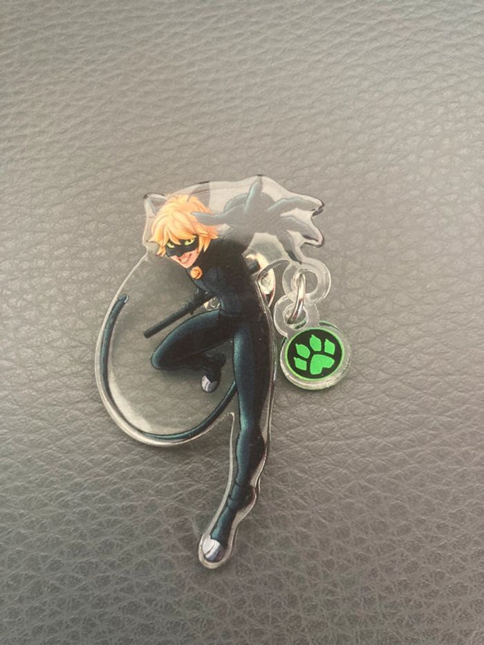 Chat noir dans miraculous
