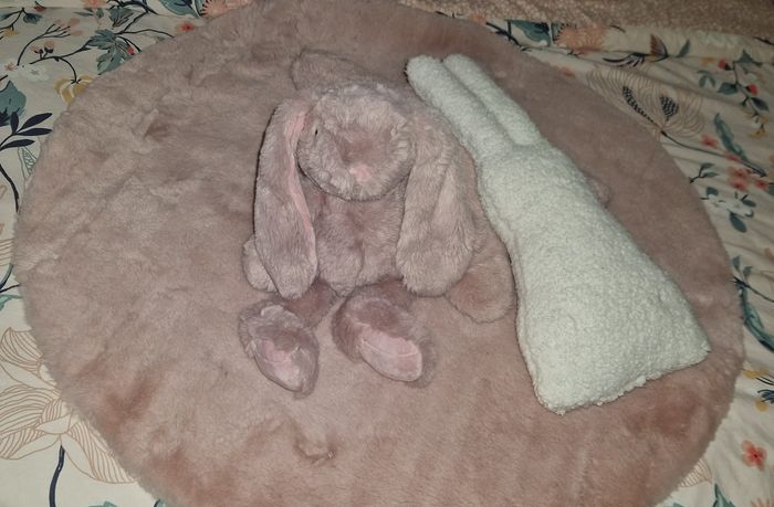 Lot panier tapis coussin peluche - photo numéro 8
