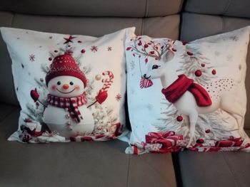 Lot coussin noël