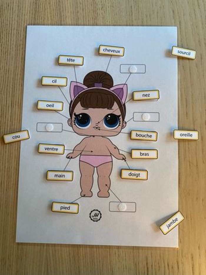 Fiche Montessori : Le corps humain : Fille - photo numéro 2
