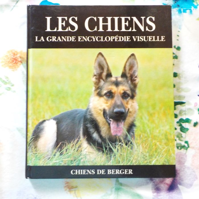 CHIENS DE BERGER Les chiens La grande encyclopédie visuelle