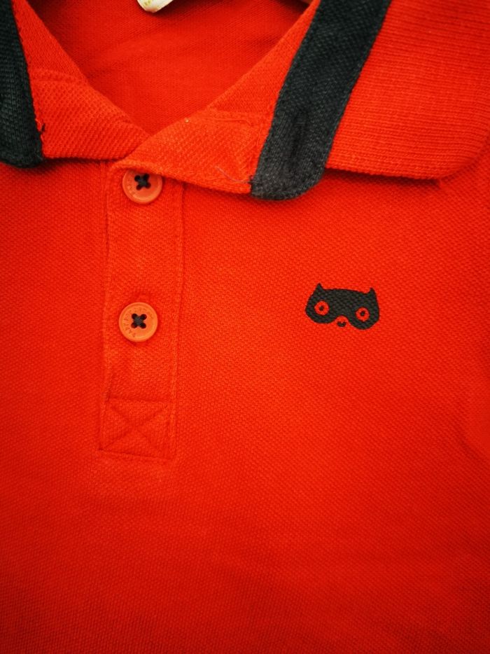 Polo - photo numéro 2