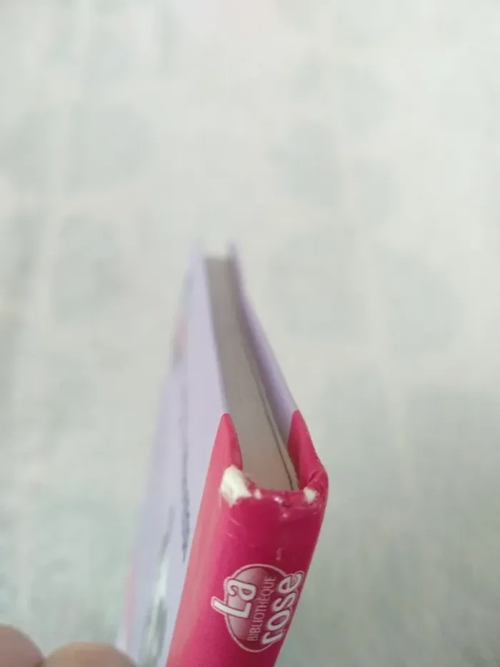 Livre Littlest PetShop - photo numéro 5