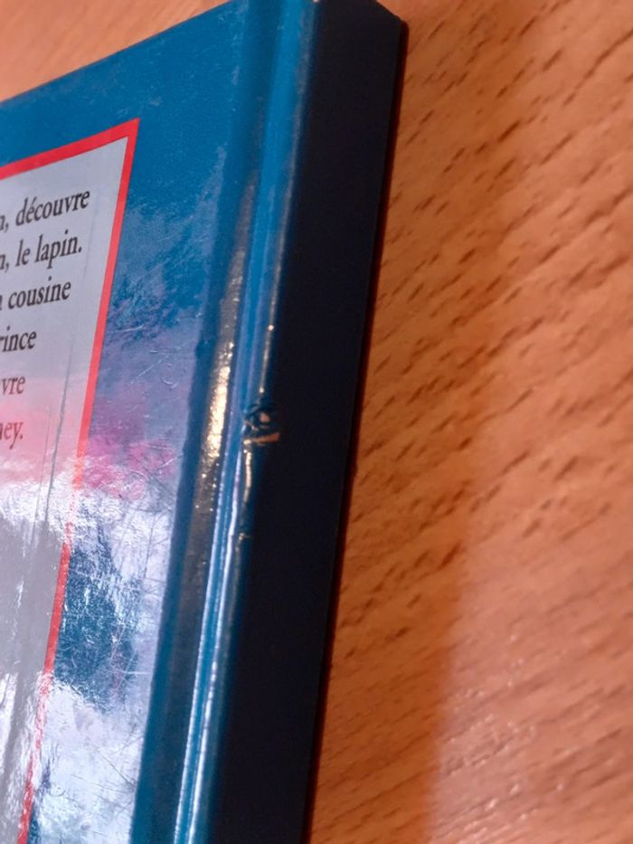 Livre Bambi - photo numéro 3