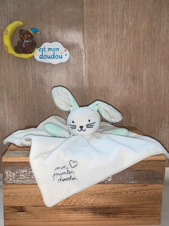 DOD07 doudou lapin 🐰 dodie