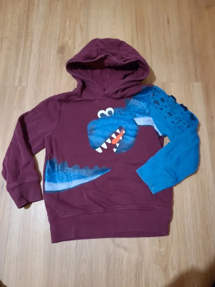 Pull sweat capuche