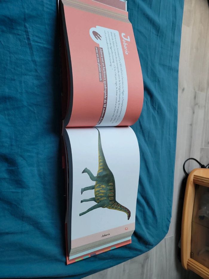 Livre sur les dinosaures enfant - photo numéro 5
