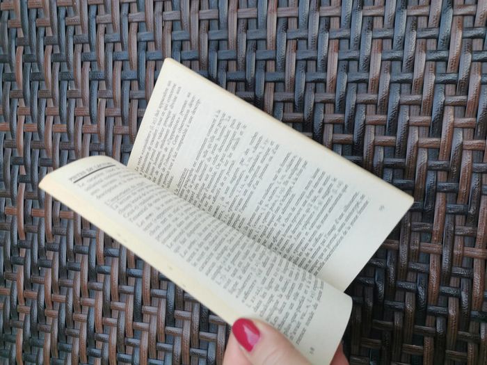 La rencontre dans l'univers romanesque. Profil littéraire oral du Bac - photo numéro 2