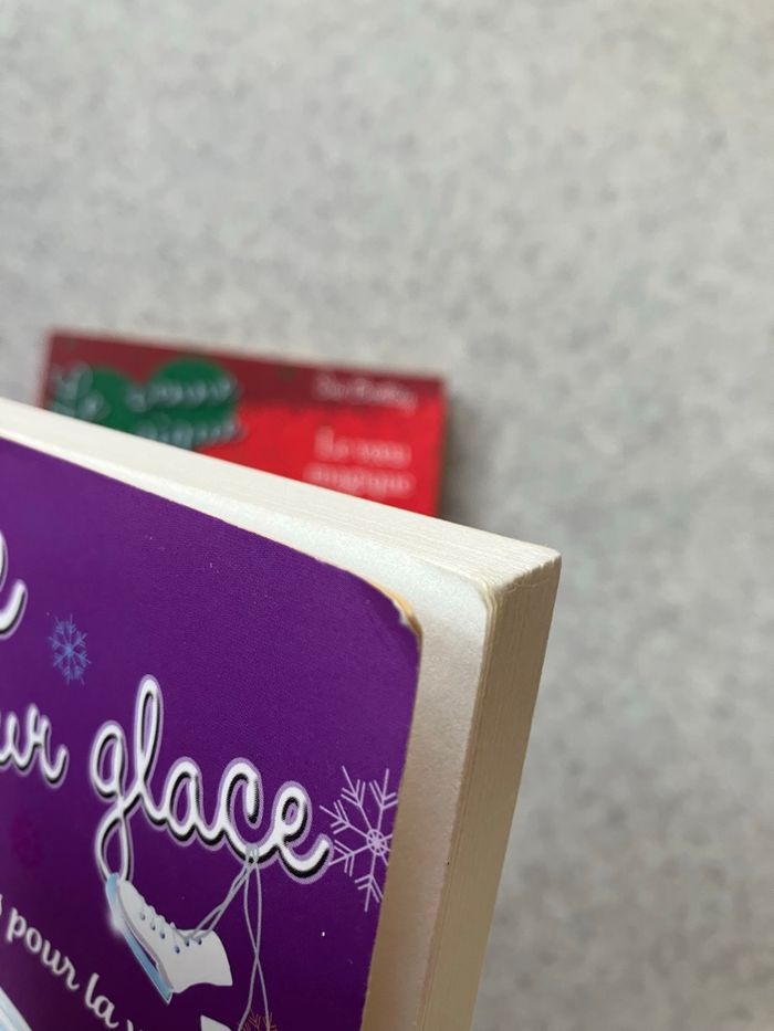 Lot de 2 livres jeunesse PKJ à partir de 7 ans (2€20) - photo numéro 8