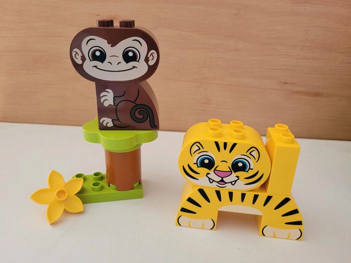 Grosse boîte Lego Duplo Classic Animaux créatifs 10934 - photo numéro 15