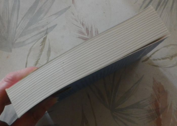 Tous à la campagne ! de Judith O'Reilly Ed. Piment - photo numéro 4