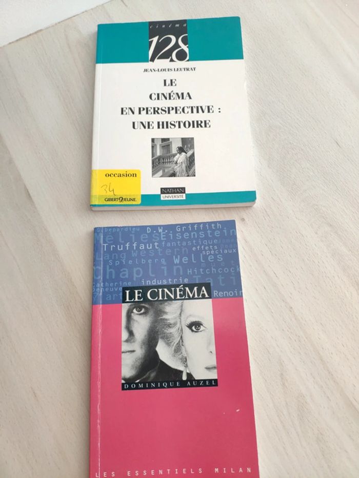 Lot deux livres cinéma en perspective une histoire Leutrat et Auzel essentiels Milan