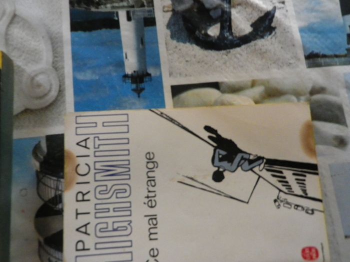 3 Patricia Highsmith Ed. Pocket - photo numéro 2