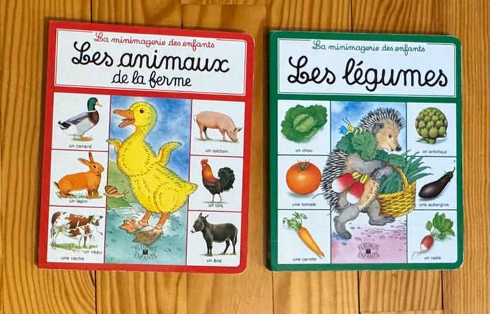 Lot de livres pour les petits - photo numéro 3