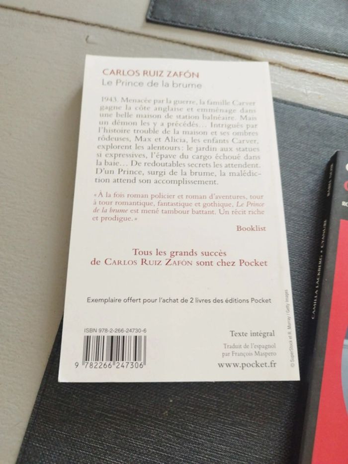 Deux romans cyanure et le prince de la brume - photo numéro 2