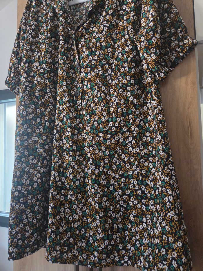 Robe - photo numéro 3