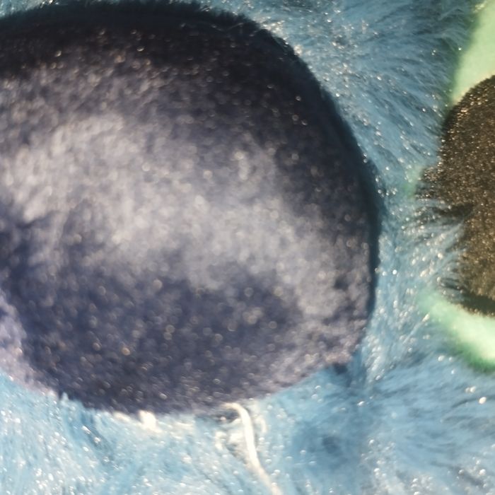 Bonnet Stitch - photo numéro 4