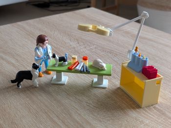 Playmobil 5653 Vétérinaire