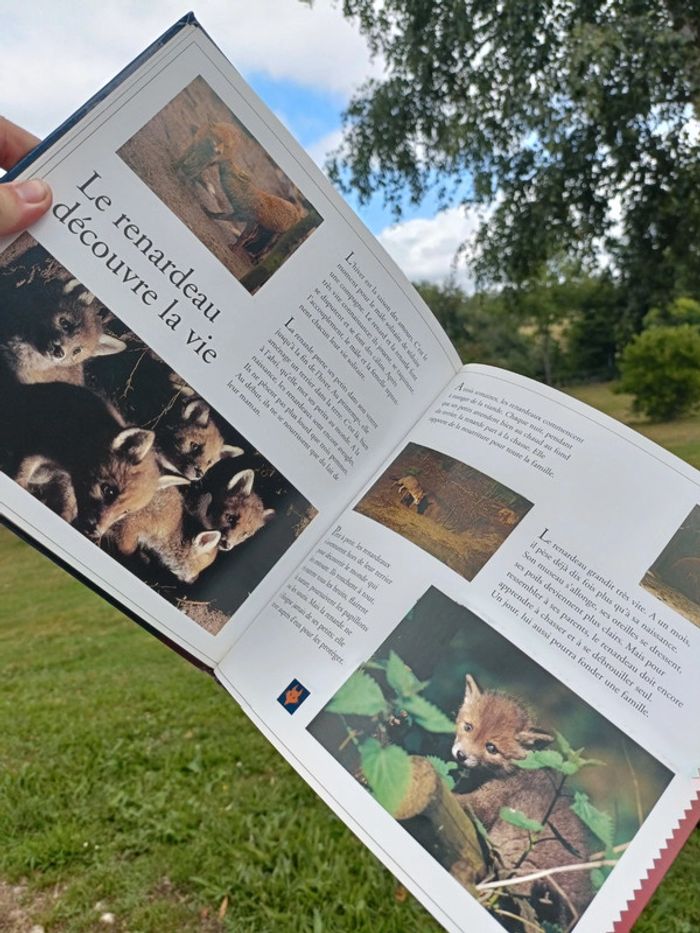 Livre au clair du fromage découvrons ensemble - photo numéro 5