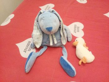 Deux peluches bébé.