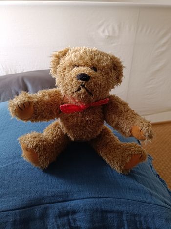 Petit ours