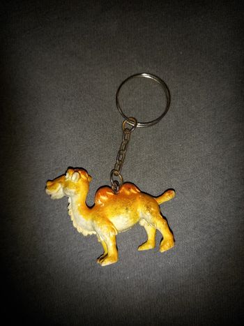 Porte clés chameau