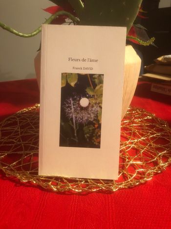 Fleurs de l’âme - Franck David
