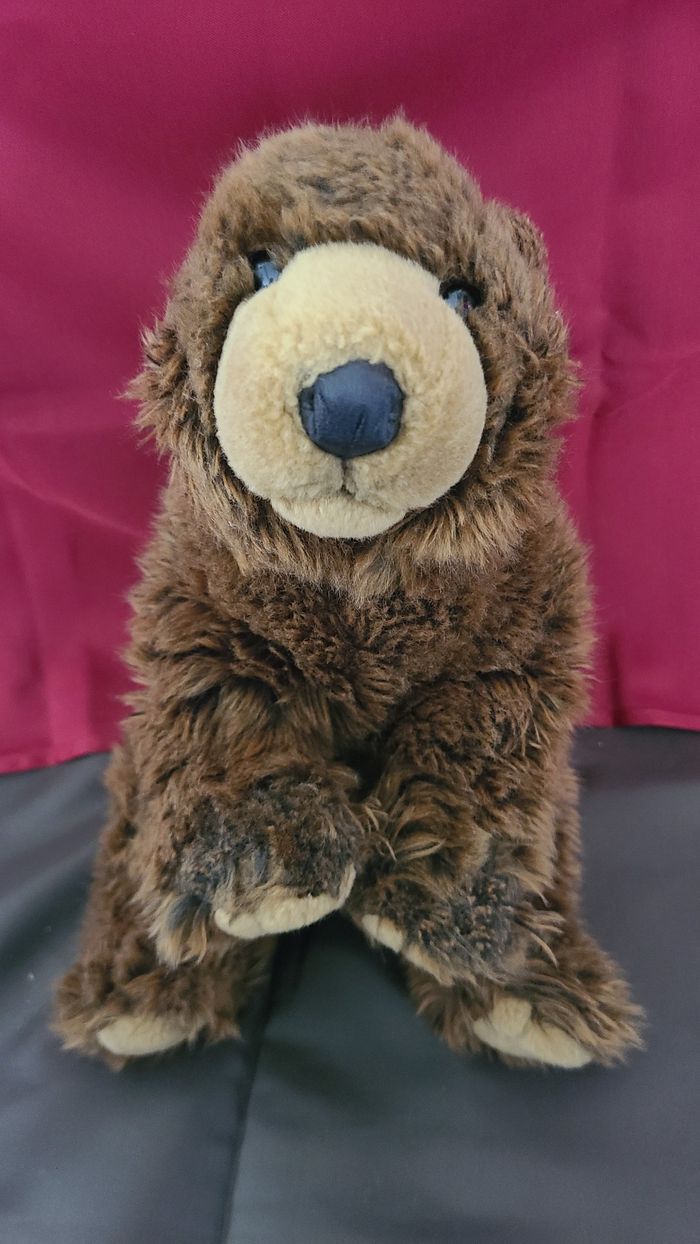 Ours en peluche brun Grizzly de Wild Republic - photo numéro 6