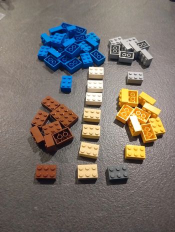 Vrac de pièces lego multicolore