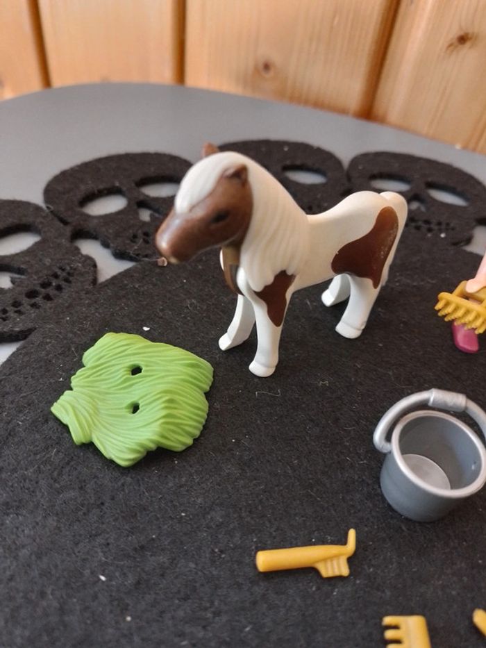 Playmobil enfant avec poney ref 5291 - photo numéro 3