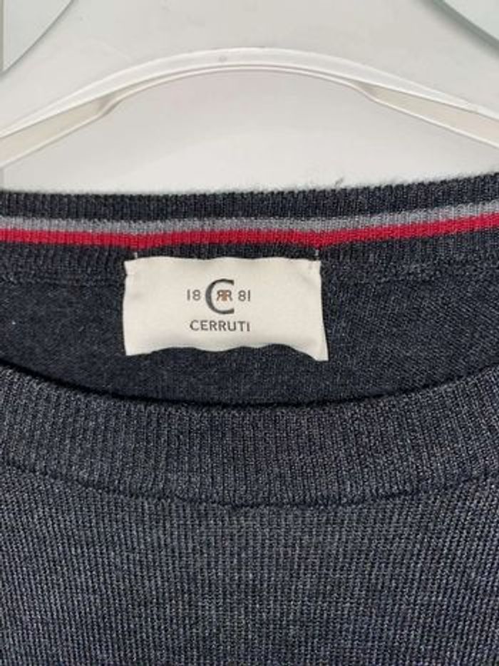 Pulls cerruti taille s/m - photo numéro 3
