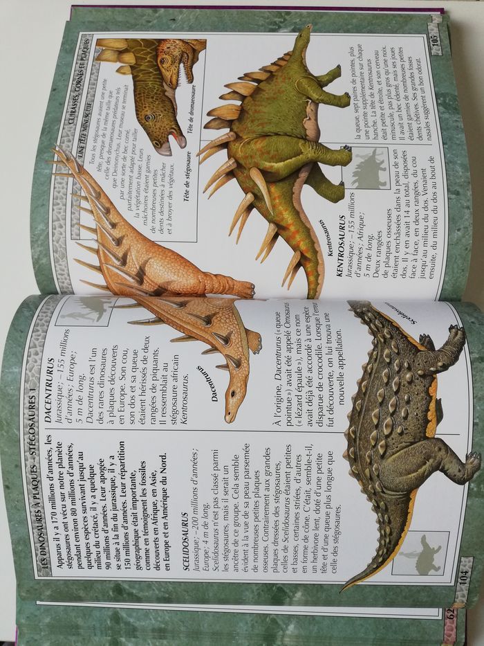 livre dinosaures - photo numéro 8