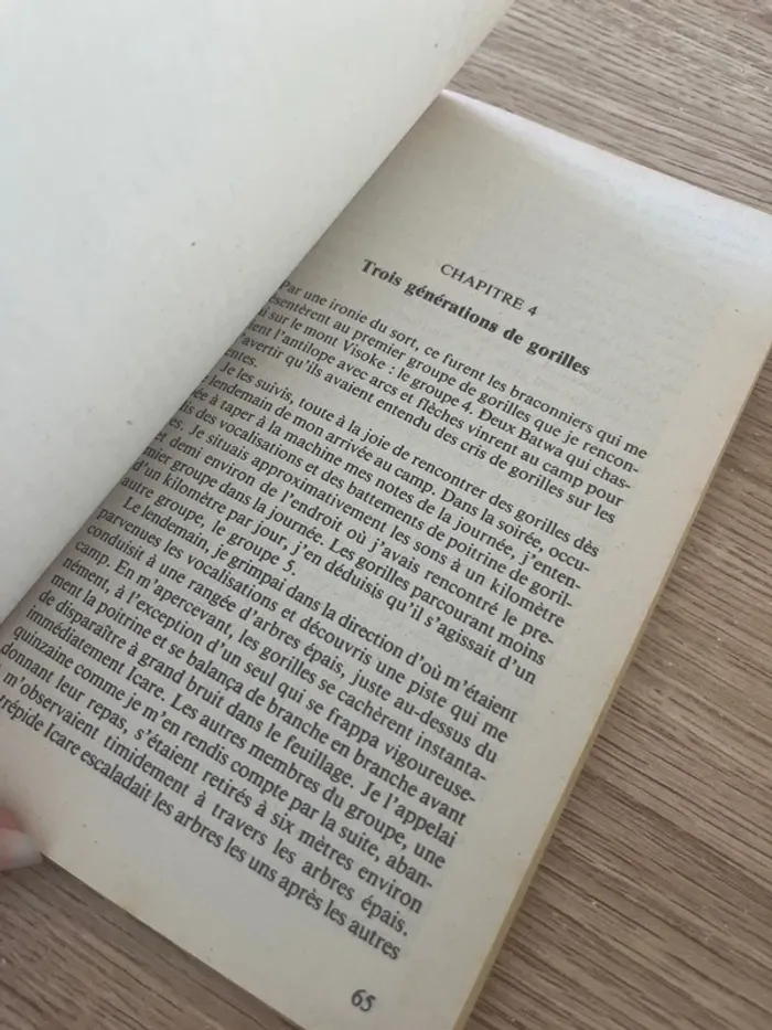 Gorilles dans la brume - photo numéro 2