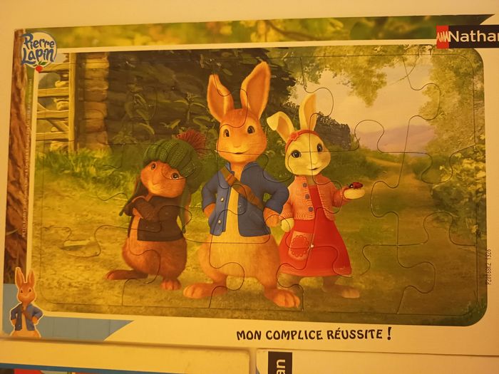 Lot de 3 puzzles mon complice réussite - photo numéro 4