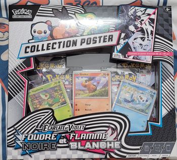 Pokémon Coffret Poster EV10.5 Foudre Noire Flamme Blanche FR