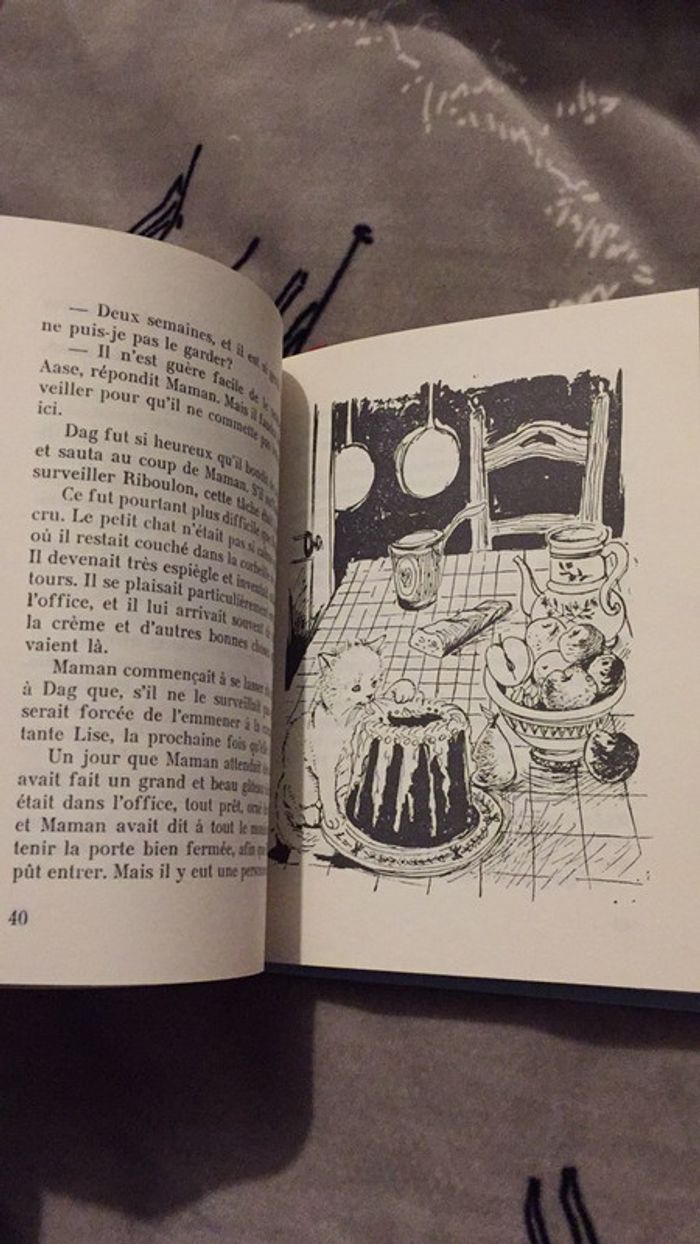 Dag et ses amis Bibliothèque de l’amitié I. Austveg - photo numéro 9