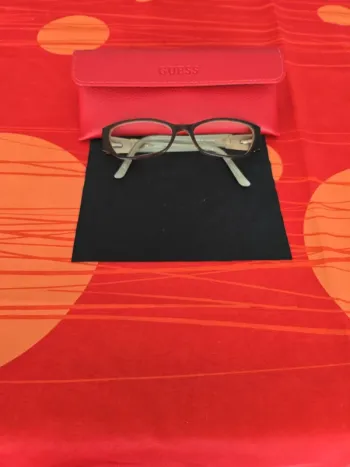 Monture Guess