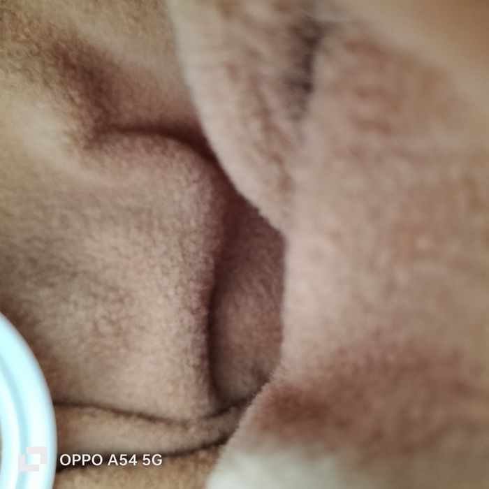 Combinaison, combi pilote hiver bébé taille 1 mois - photo numéro 3