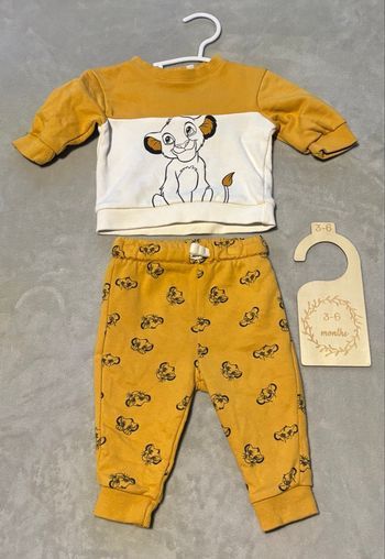 Ensemble simba Disney