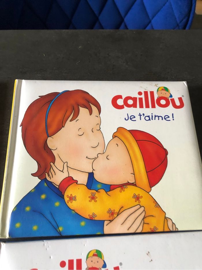 Lot de livres - photo numéro 10