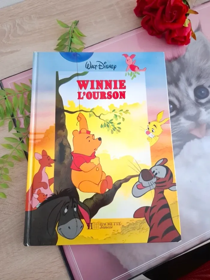 Livre Disney / Winnie l'ourson