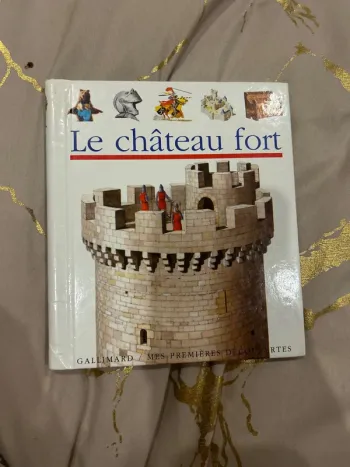 Livre château fort