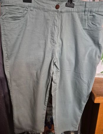 Pantacourt gris vert