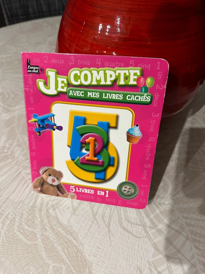 Livre je compte avec mes livres cachés