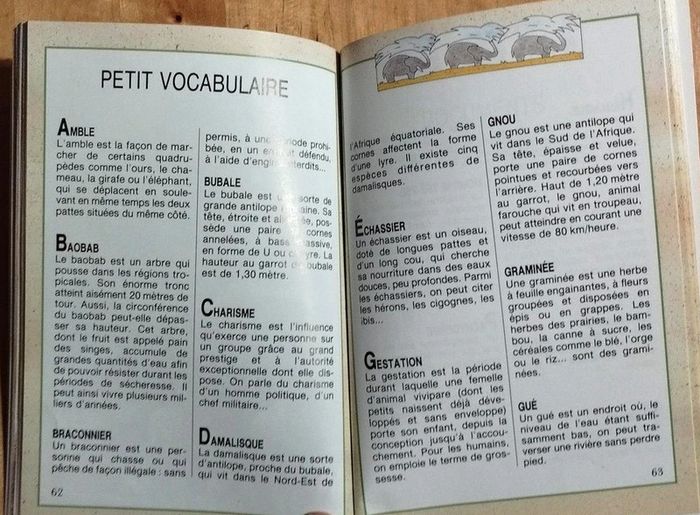 Livre enfant Kongo l'éléphant - 8 ans - photo numéro 5