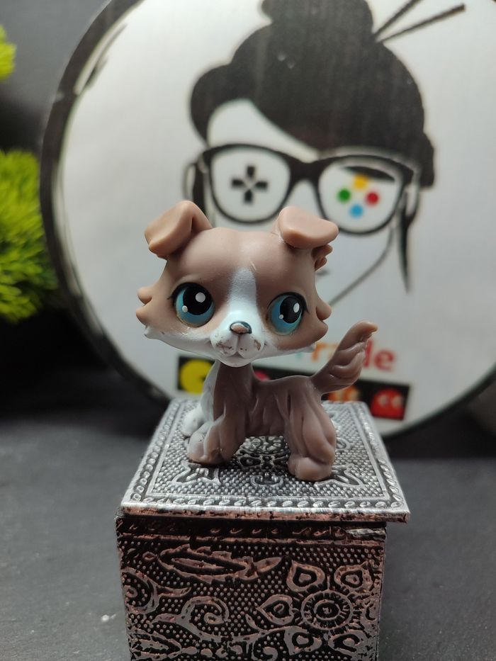 Lps01296 Littlest Petshop Pet Shop LPS Authentic Dog Colley Collie Chien 67