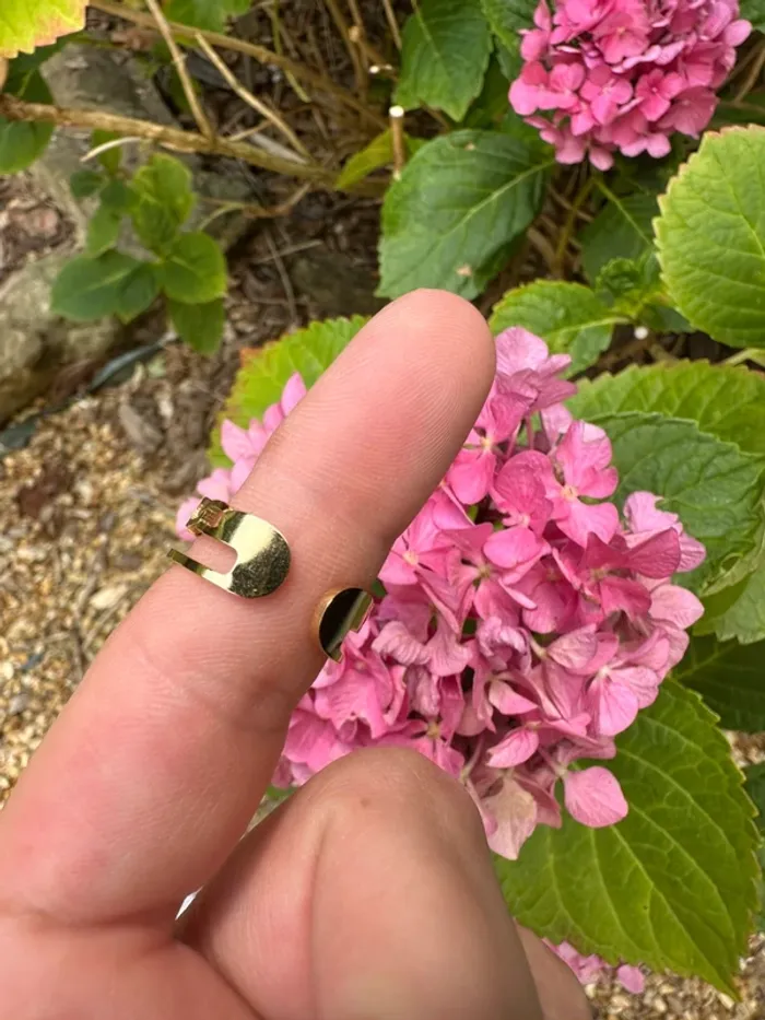 Jolie bague - photo numéro 4