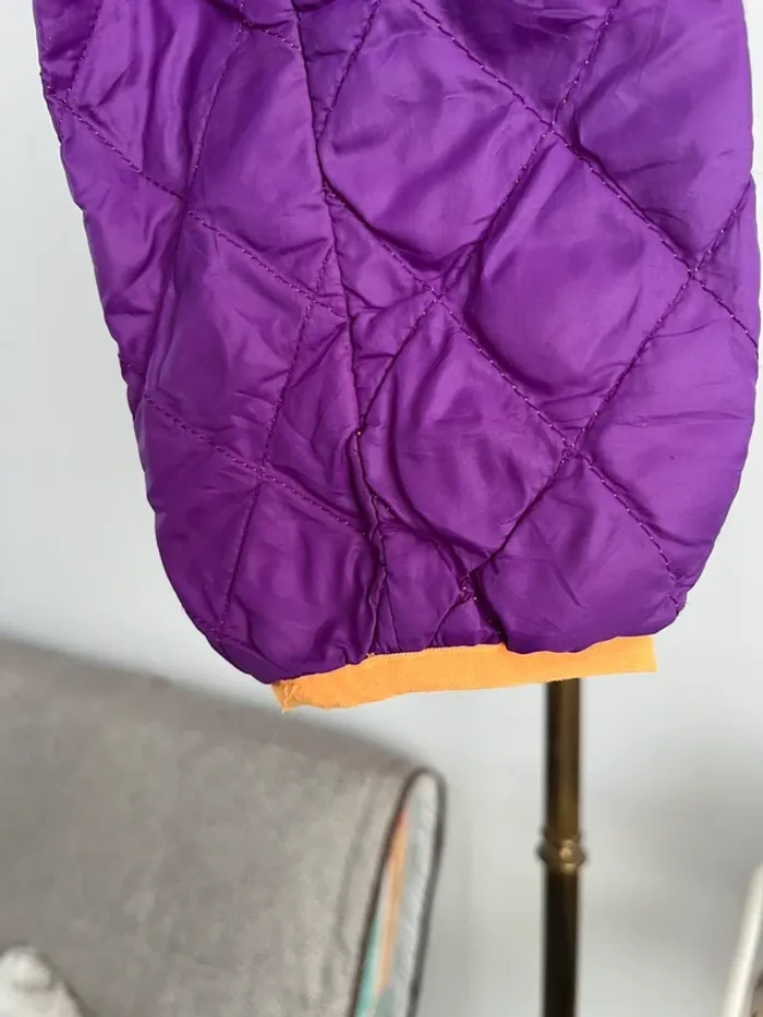 Veste  fille L/G 14/16 vintage The North Face - photo numéro 5